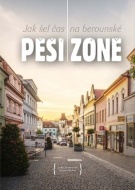 Jak šel čas na berounské Pěší zóně - cena, porovnanie