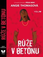 Růže v betonu - cena, porovnanie