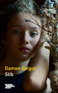 Slib - Damon Galgut - cena, porovnanie