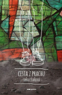 Cesta z prachu - cena, porovnanie