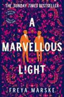 A Marvellous Light - cena, porovnanie