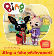 Bing a jeho překvapení - cena, porovnanie