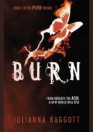 Burn - Julianna Baggott - cena, porovnanie