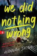 We Did Nothing Wrong - cena, porovnanie