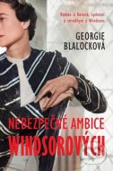 Nebezpečné ambice Windsorových - cena, porovnanie
