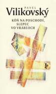 Kôň na poschodí, slepec vo Vrábľoch - cena, porovnanie