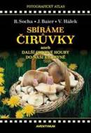 Sbíráme čirůvky a další chutné houby do naší kuchyně - cena, porovnanie