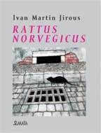 Rattus norvegicus - cena, porovnanie