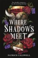 Where Shadows Meet - cena, porovnanie