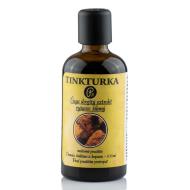 Panakeia Tinkturka Čaga dvojitý extrakt 100ml - cena, porovnanie
