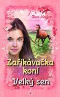 Zaříkávačka koní Velký sen - cena, porovnanie