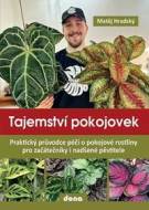 Tajemství pokojovek - cena, porovnanie