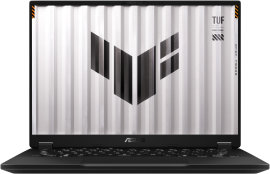 Asus FA401KM-RG013X