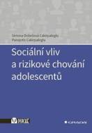 Sociální vliv a rizikové chování adolescentů - cena, porovnanie