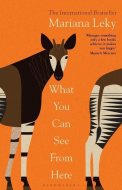 What You Can See From Here - cena, porovnanie
