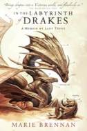 In the Labyrinth of Drakes - cena, porovnanie