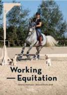 Working Equitation - cena, porovnanie
