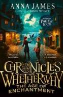 Chronicles of Whetherwhy: The Age of Enchantment - cena, porovnanie