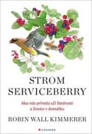 Strom Serviceberry - cena, porovnanie