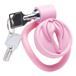 Master Series Pussification Vulva Chastity Cage