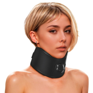 Master Series Hard Stance Padded Locking Posture Collar - cena, porovnanie