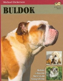 Buldok