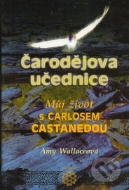 Čarodějova učednice