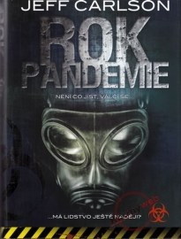 Rok pandemie