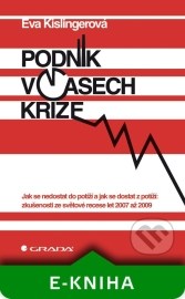 Podnik v časech krize