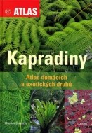 Kapradiny - Atlas domácích a exotických druhů - cena, porovnanie