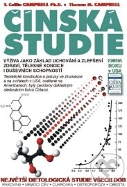 Čínská studie