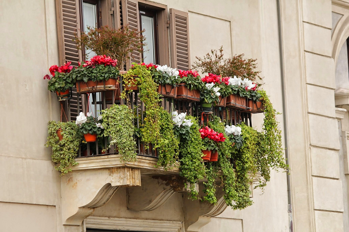 balkon s kvetinami